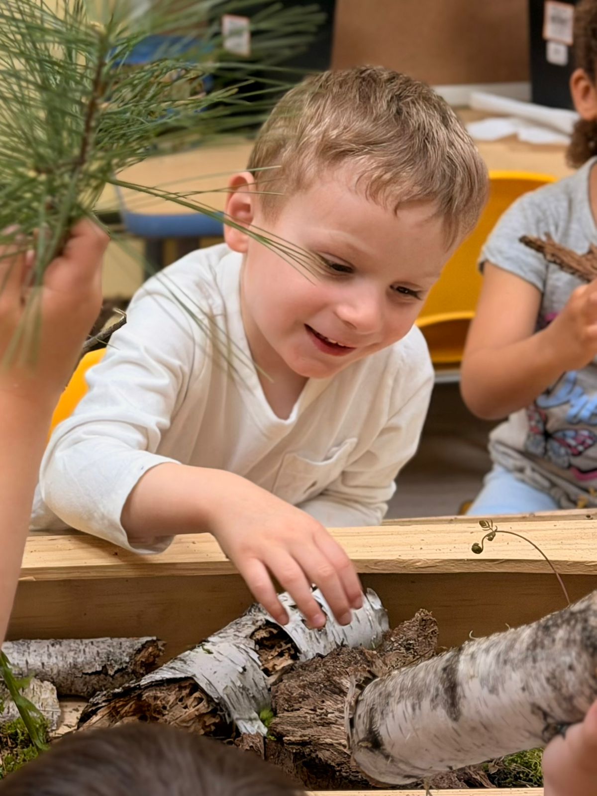 Preschool children investigating tree bark outdoors
